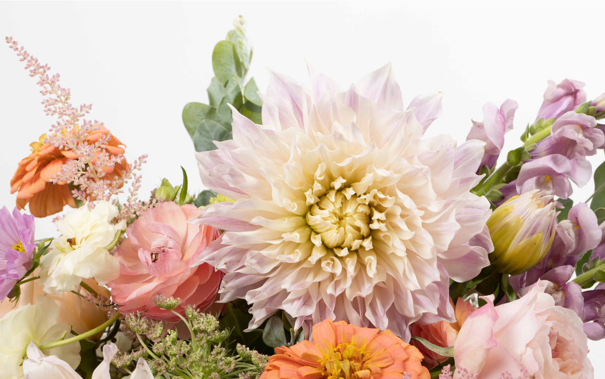 Wild Things Flowers