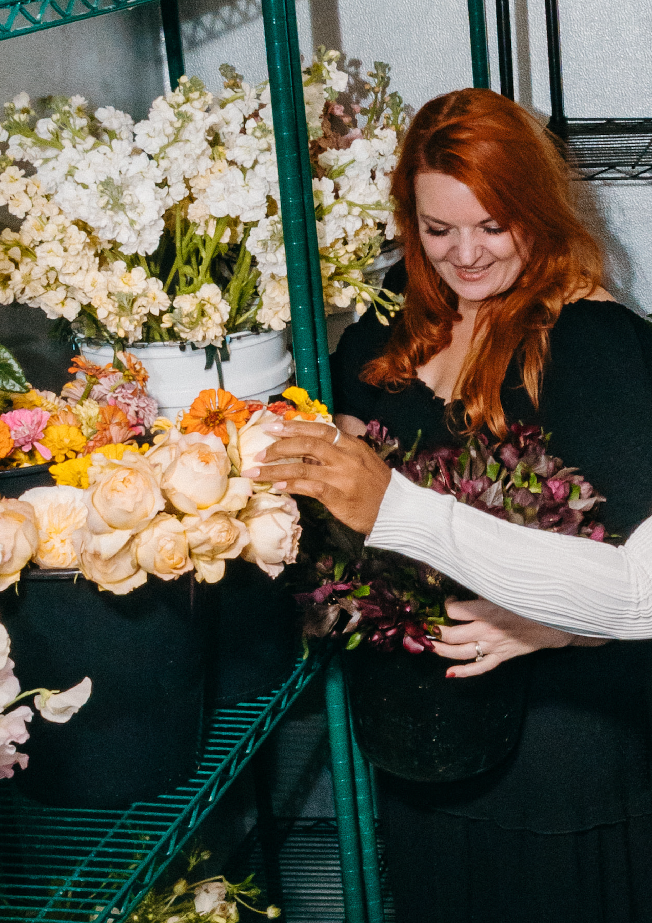 Wild Things | Flowers and Curiosities