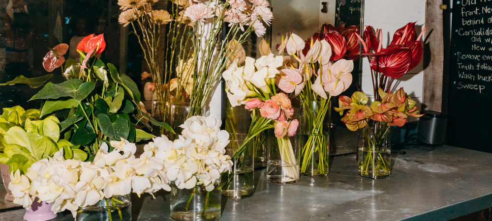 Wild Things | Flowers and Curiosities