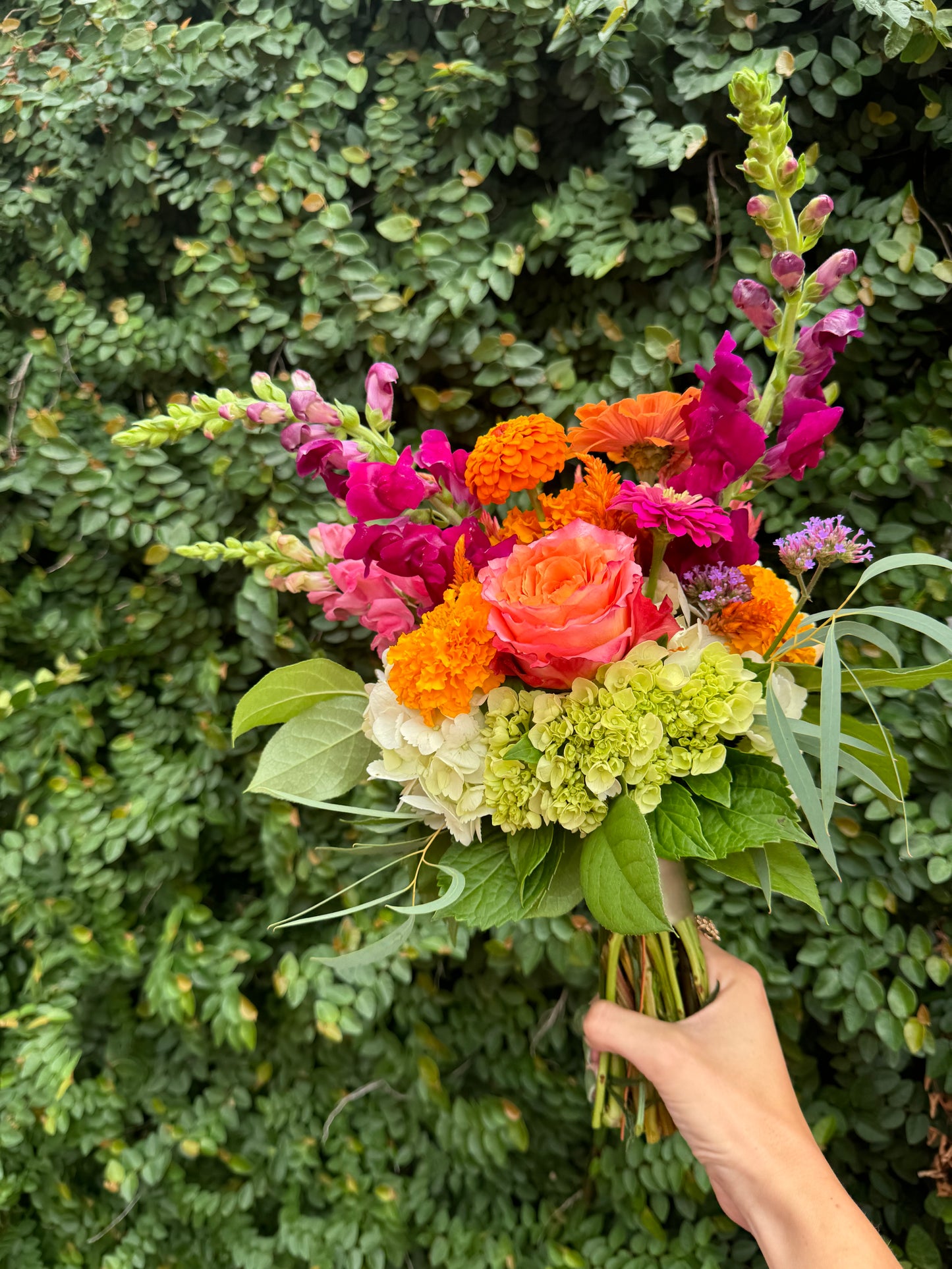 
                  
                    Dance Flowers
                  
                