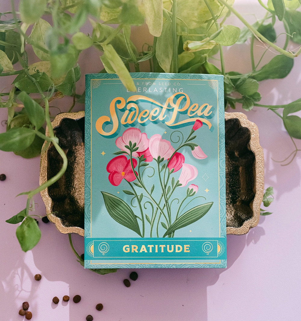 Seed Packets