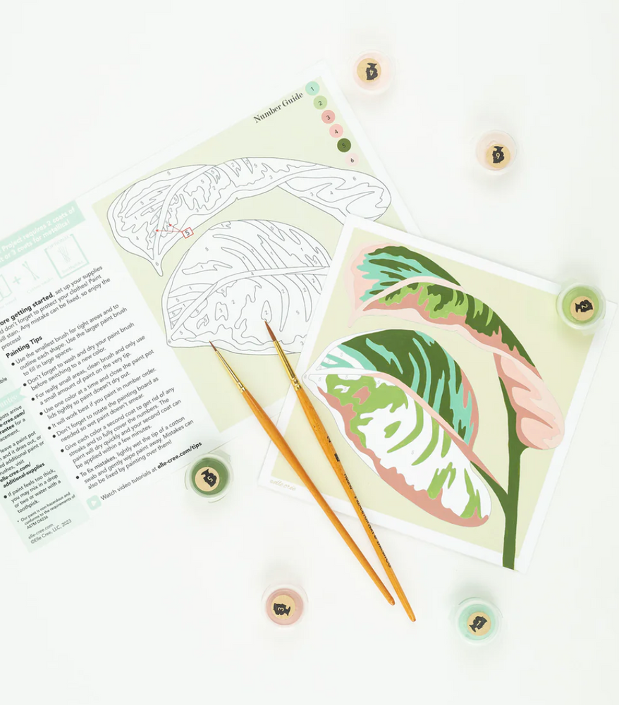 
                  
                    Paint-By-Number Kits
                  
                