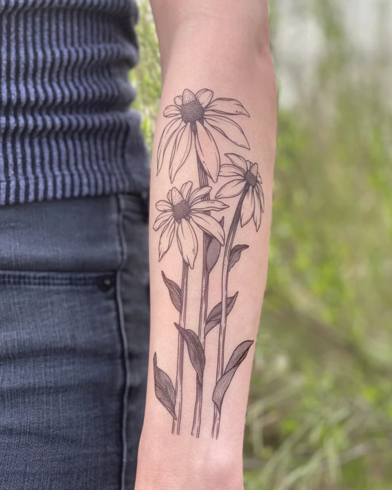 
                  
                    NatureTats Temporary Tattoos
                  
                