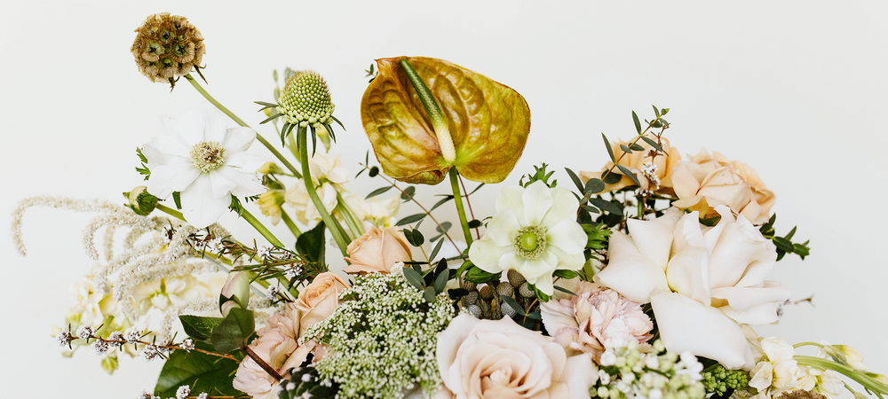 Wild Things | Flowers and Curiosities