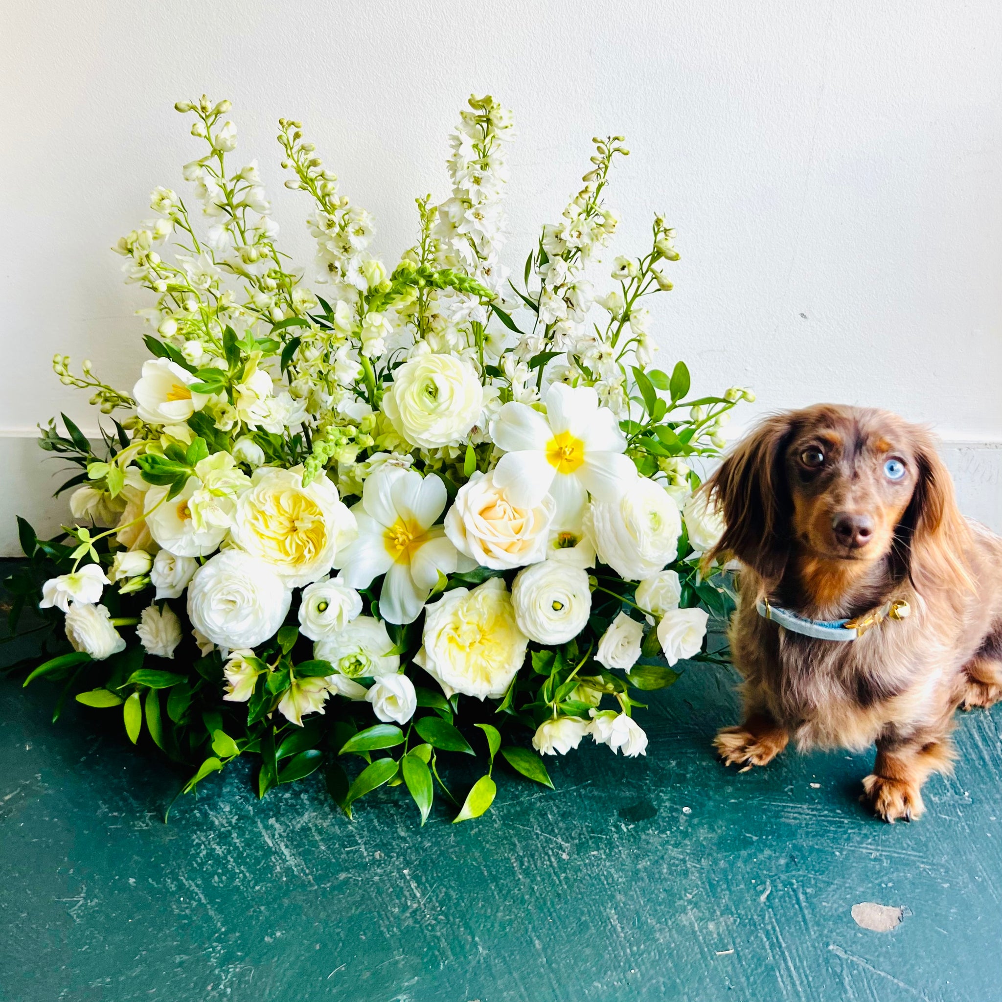 À La Carte Events Page 2 Wild Things Flowers and Curiosities